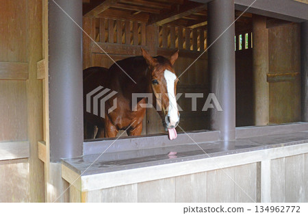 伊勢神宮內殿聖馬厩2 134962772