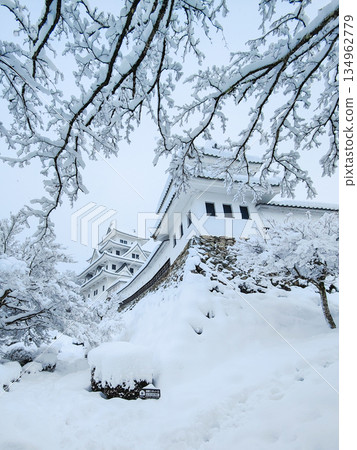 雪中的郡上八幡城 134962779