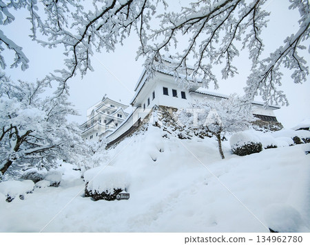 雪中的郡上八幡城 134962780