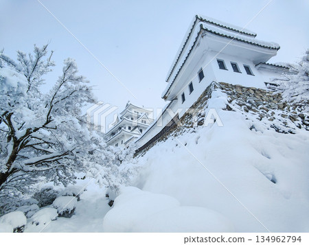 Gujo Hachiman Castle in the snow 134962794