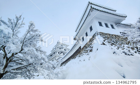 雪中的郡上八幡城 134962795