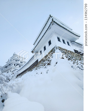 雪中的郡上八幡城 134962799