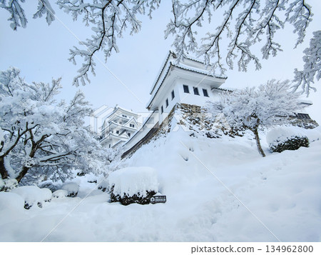 雪中的郡上八幡城 134962800
