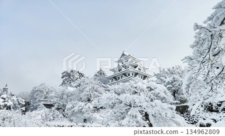 Gujo Hachiman Castle in the snow 134962809