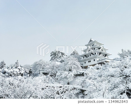 雪中的郡上八幡城 134962843