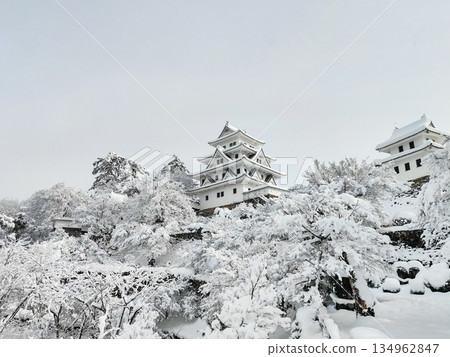 雪中的郡上八幡城 134962847