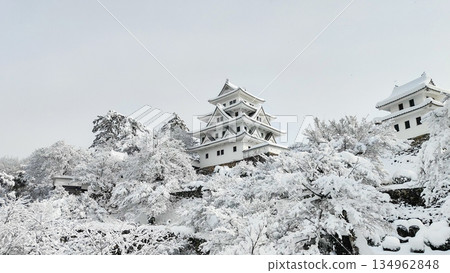 Gujo Hachiman Castle in the snow 134962848