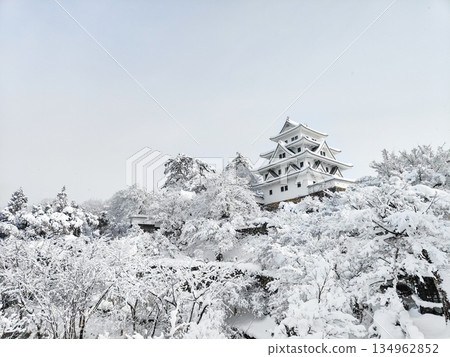 Gujo Hachiman Castle in the snow Gujo Hachiman Castle in the snow 134962852