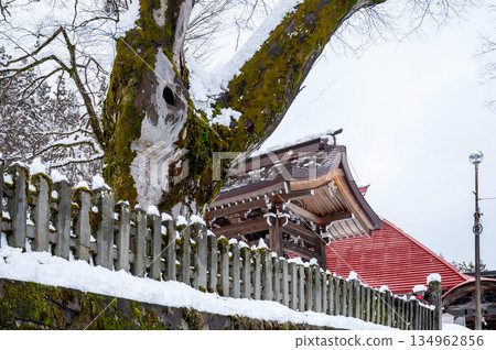 Temple and ancient tree covered in snow and moss Temple and ancient tree covered in snow and moss 134962856
