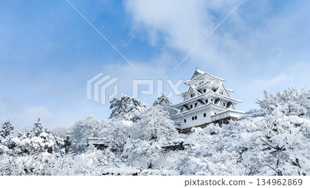 雪中的郡上八幡城 134962869