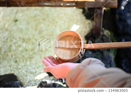 請在霧島神社的淨手池(淨化之泉)為您的孩子洗手。 請在霧島神社的淨手池(淨化之泉)為您的孩子洗手。 134963005