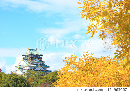 大阪府大阪市大阪城風景 大阪府大阪市大阪城風景 134963067