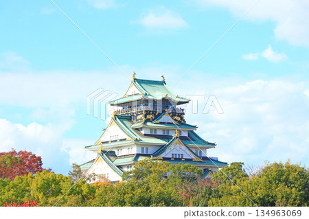 大阪府大阪市大阪城風景 134963069