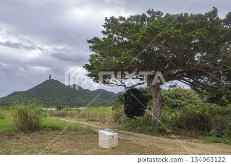 Dr. Koto's Clinic (filming location: Taiki) 134963122