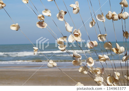 Seashells against the background of blue sky and sea. 134963377