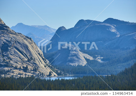 Granite Mountains Tenaya Lake and Pine Forest in Yosemite National Park California Granite Mountains Tenaya Lake and Pine Forest in Yosemite National Park California 134963454