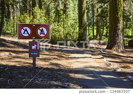 Trail Sign with No Camping No Fires and No Pets Symbols in Sequoia Forest 134963507