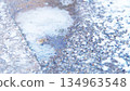 Frozen Puddle 134963548