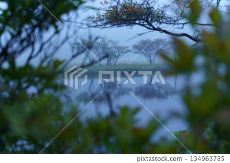 我發現了一個隱密的地方 134963785