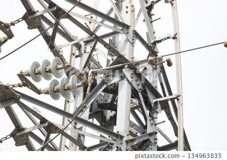 Branches used as nesting material for crows placed at the end of a steel tower 134963835
