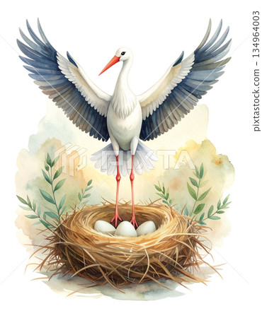 雷諾曼卡牌「鸛」水彩插畫，描繪一隻鸛站在巢中，巢裡有鳥蛋 2 / 傳單和海報素材 134964003