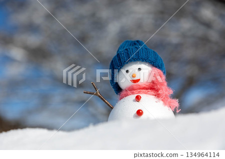 Fresh snow and snowmen Fresh snow and snowmen 134964114