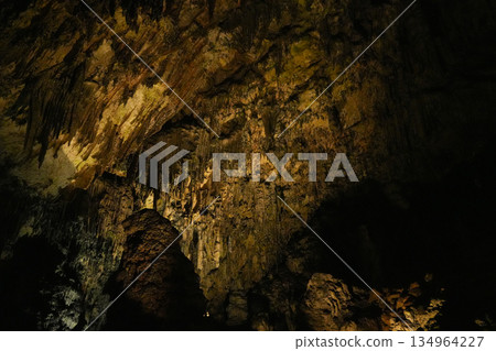 Postojna Cave, Slovenia 134964227