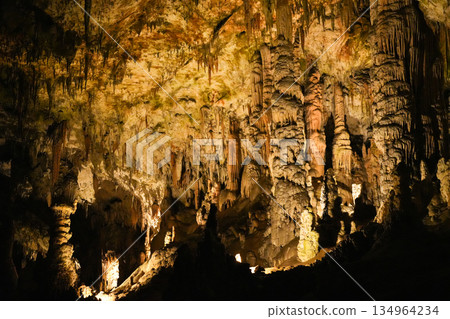 斯洛維尼亞波斯托伊納溶洞 134964234