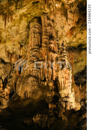 Postojna Cave, Slovenia 134964235