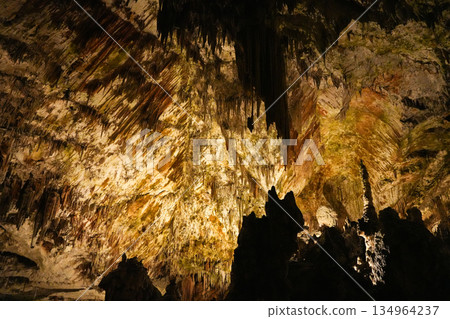 Postojna Cave, Slovenia 134964237