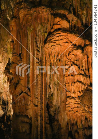 Postojna Cave, Slovenia 134964241