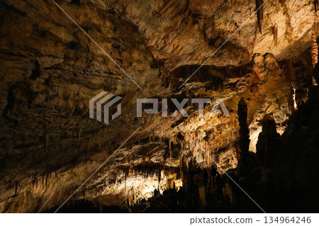 Postojna Cave, Slovenia 134964246