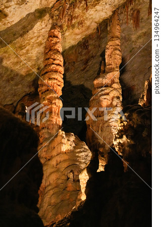 Postojna Cave, Slovenia 134964247
