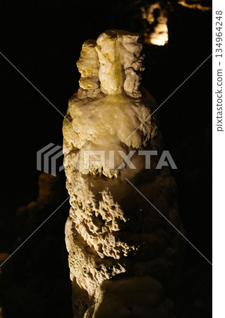 Postojna Cave, Slovenia 134964248