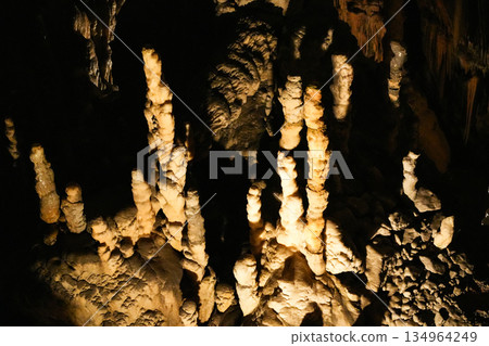 Postojna Cave, Slovenia 134964249