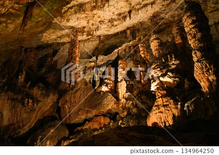 斯洛維尼亞波斯托伊納溶洞 134964250