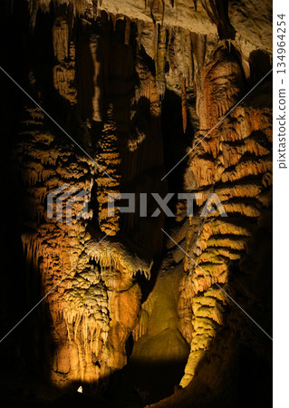 Postojna Cave, Slovenia 134964254