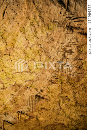 斯洛維尼亞波斯托伊納溶洞 斯洛維尼亞波斯托伊納溶洞 134964255