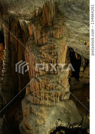Postojna Cave, Slovenia 134964261