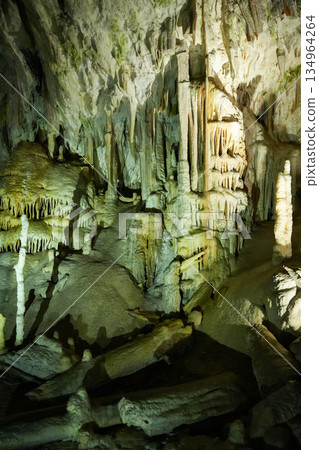 Postojna Cave, Slovenia 134964264