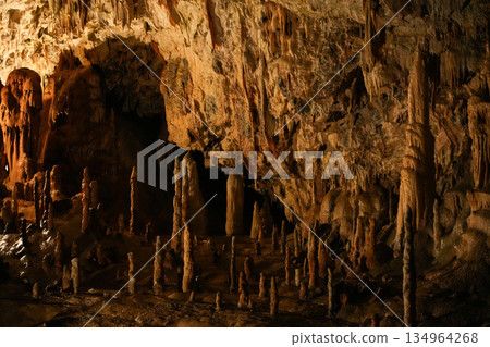 Postojna Cave, Slovenia 134964268