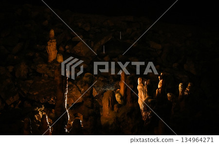 Postojna Cave, Slovenia 134964271