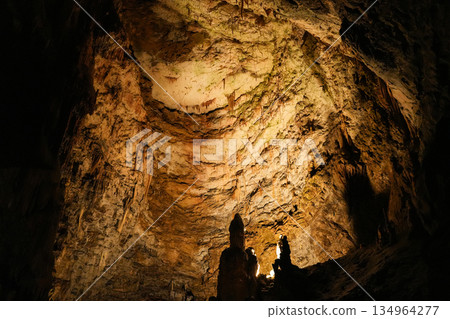 Postojna Cave, Slovenia 134964277