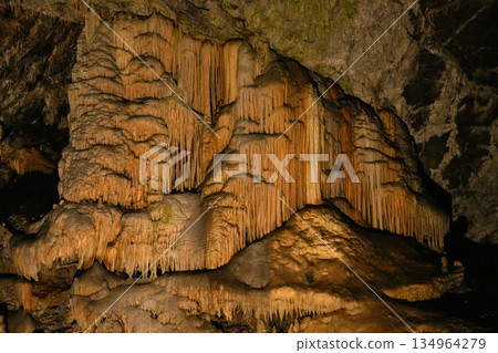 斯洛維尼亞波斯托伊納溶洞 134964279