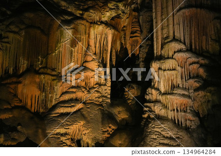 斯洛維尼亞波斯托伊納溶洞 134964284