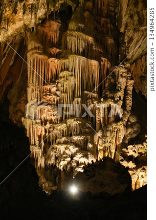Postojna Cave, Slovenia 134964285