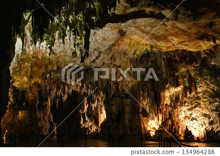 斯洛維尼亞波斯托伊納溶洞 134964286