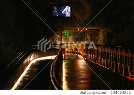 Postojna Cave, Slovenia 134964291