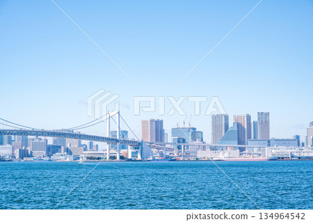 TOKYO, JAPAN - 29, JAN. 2025 : cityscape of Tokyo skyline with Tokyo tower and rainbow bridge at daytime in Japan 134964542