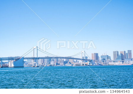 TOKYO, JAPAN - 29, JAN. 2025 : cityscape of Tokyo skyline with Tokyo tower and rainbow bridge at daytime in Japan 134964543